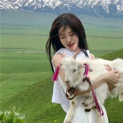 妙探乌龙记